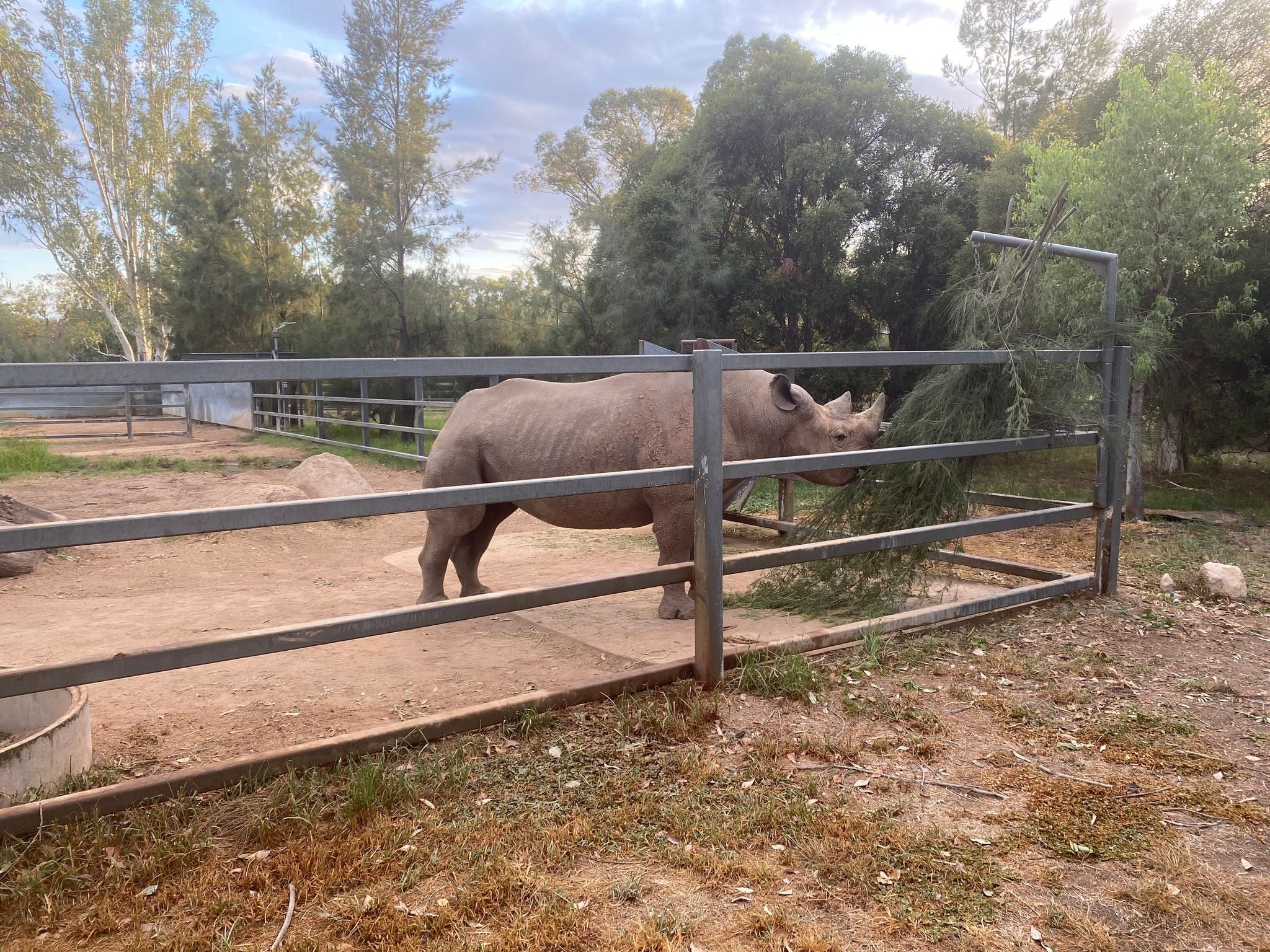 Dubbo Zoo 2025 Image -67de048cda236